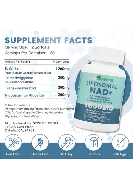 inGreens Liposomal NAD+ 1800 Mg - 60 Softgels Nikotinamid Ribosid İçerir - Görsel 2
