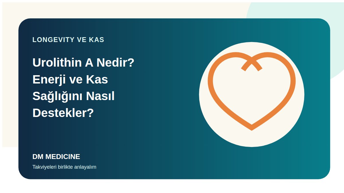 Urolithin A Nedir? Enerji ve Kas Sağlığını Nasıl Destekler?